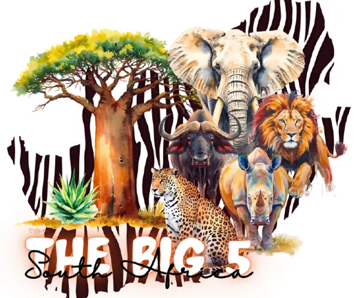 Big Five Zebra collection cover